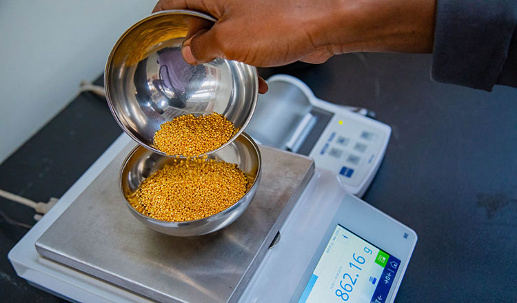 Buy Gold Bars in Africa Buy Gold in Zimbabwe