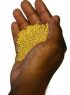 Buy Gold Bars Africa Ltd